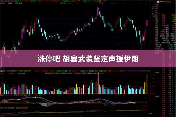 涨停吧 胡塞武装坚定声援伊朗